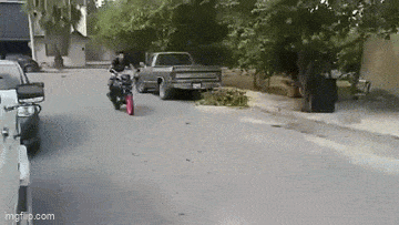 Acid GIFs, November 29 (25 gifs)