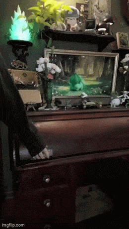 Acid GIFs, November 29 (25 gifs)
