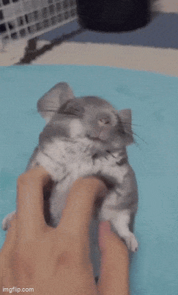 Acid GIFs, November 29 (25 gifs)