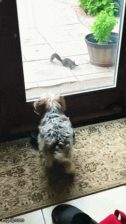 Acid GIFs, November 29 (25 gifs)
