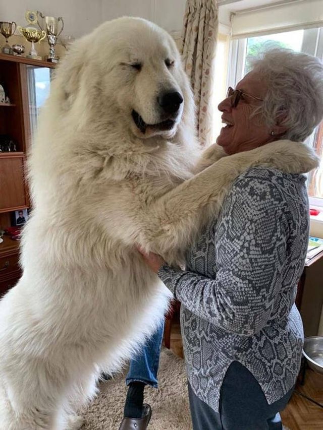 They Are Very Big (15 pics)