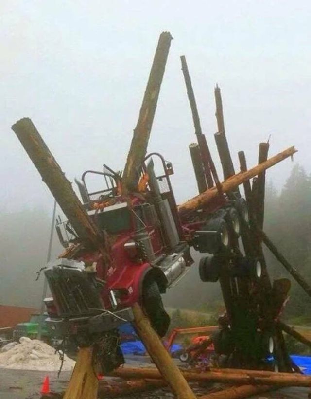What Is Going On Here? (25 pics)