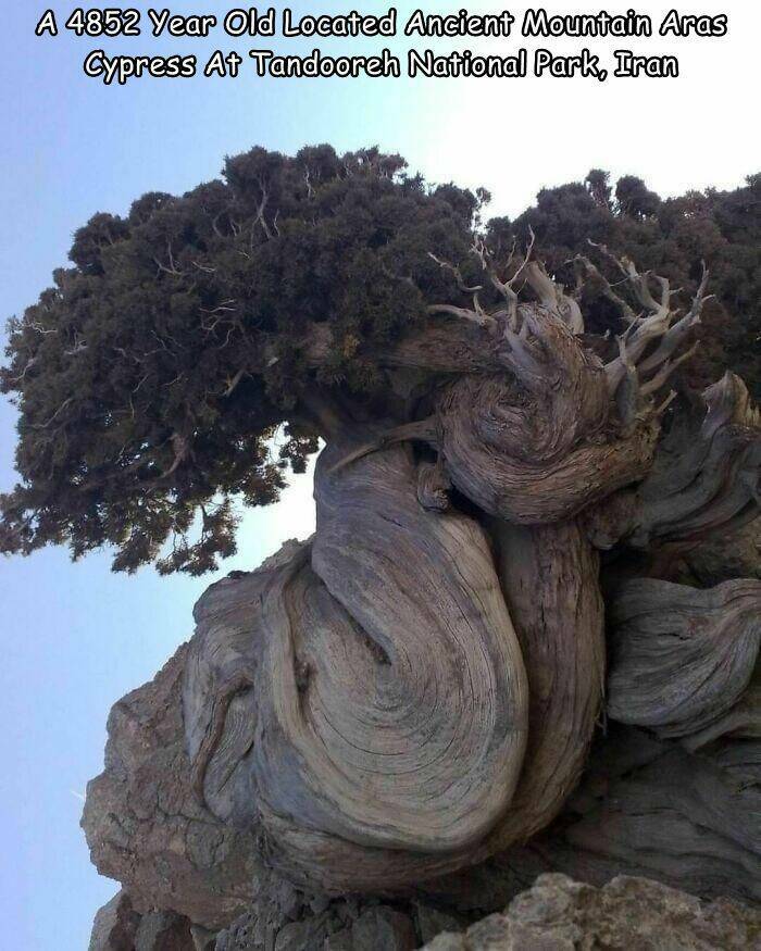 Daily Pictures. Part 2 (70 pics)