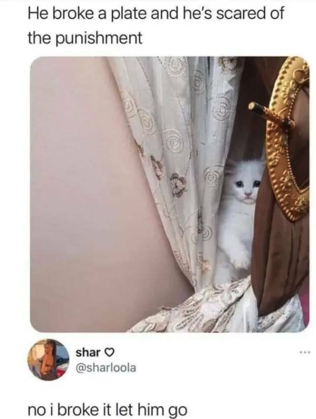 Daily Pictures. Part 2 (66 pics)