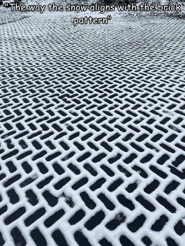 Daily Pictures. Part 2 (72 pics)