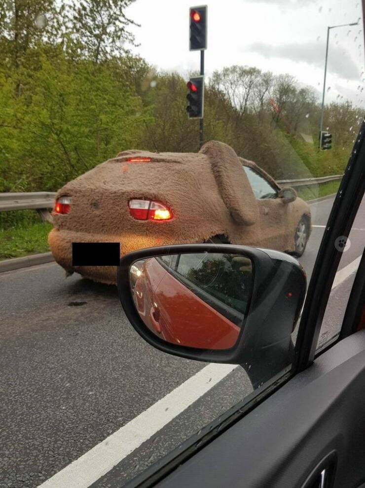 Daily Pictures. Part 2 (72 pics)