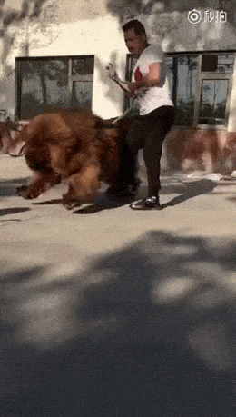 Acid GIFs, December 7 (25 gifs)