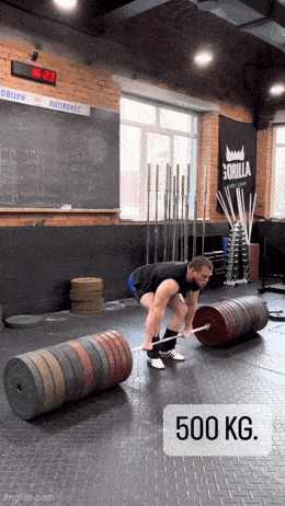 Acid GIFs, December 7 (25 gifs)