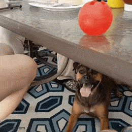 Acid GIFs, December 7 (25 gifs)