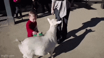 Acid GIFs, December 7 (25 gifs)