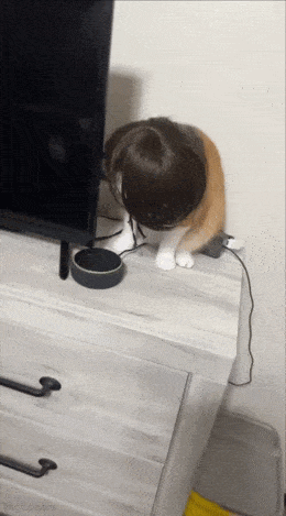 Acid GIFs, December 7 (25 gifs)