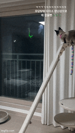 Acid GIFs, December 7 (25 gifs)