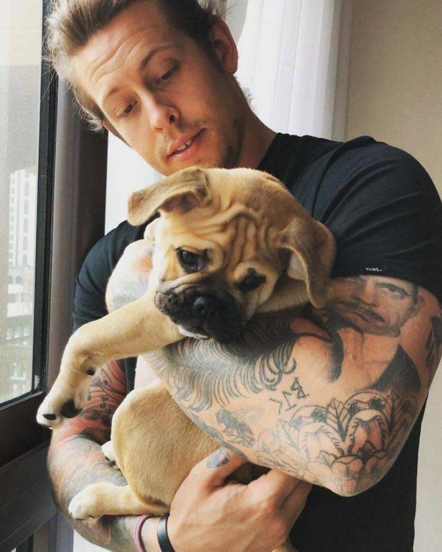 Beautiful Crossbreed Dogs (50 pics)