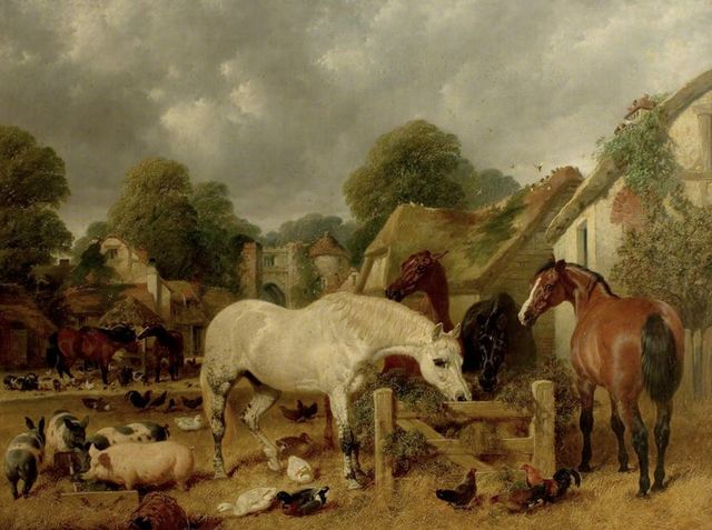 The Best Visual Illustrations of Horse Racing