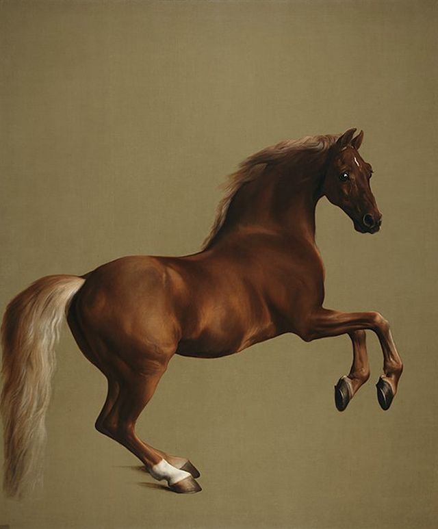 The Best Visual Illustrations of Horse Racing