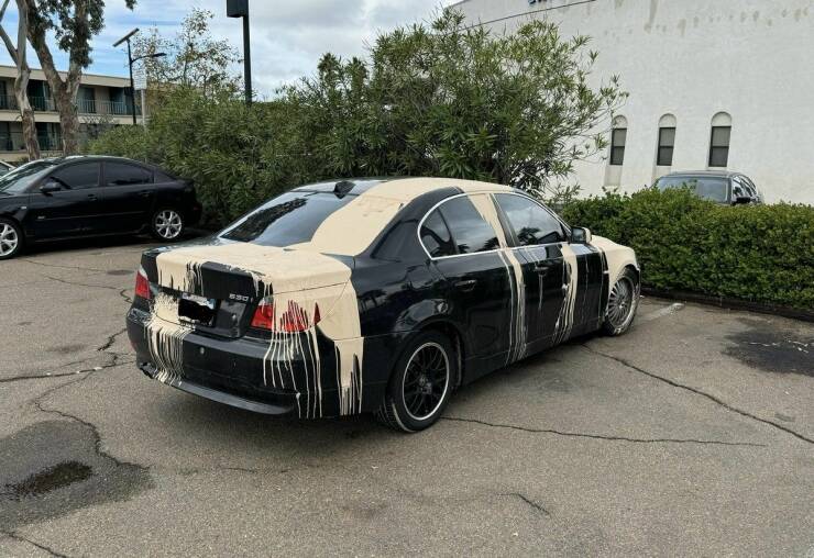 Daily Pictures. Part 1 (67 pics)
