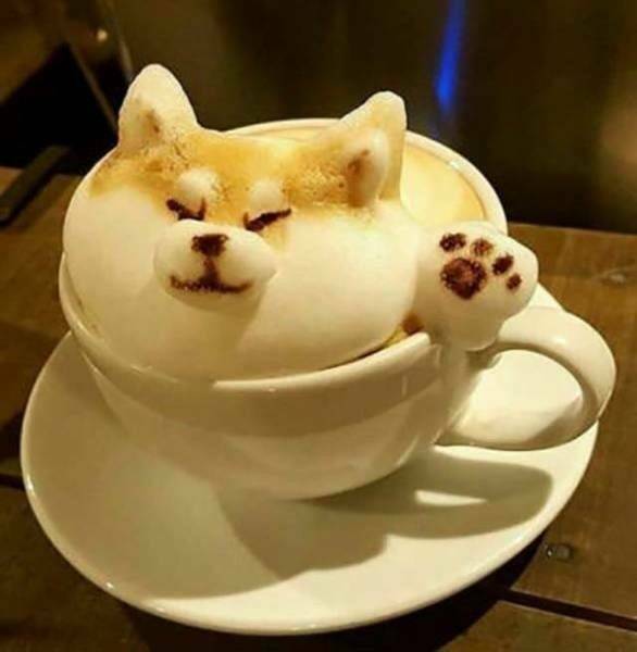 Daily Pictures. Part 1 (67 pics)