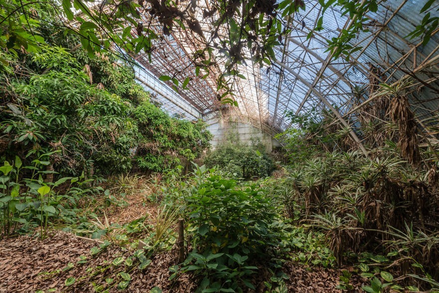 Amazing Abandoned Places In Japan (22 pics)