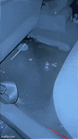 Acid GIFs, December 12 (25 gifs)