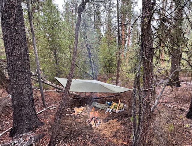 Amazing Bushcraft (19 pics)