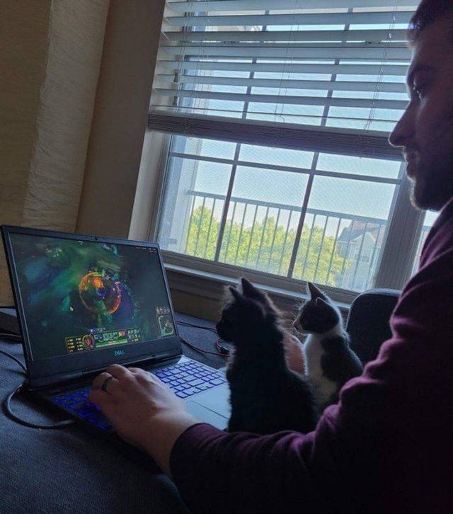 People Share Their Pets (18 pics)