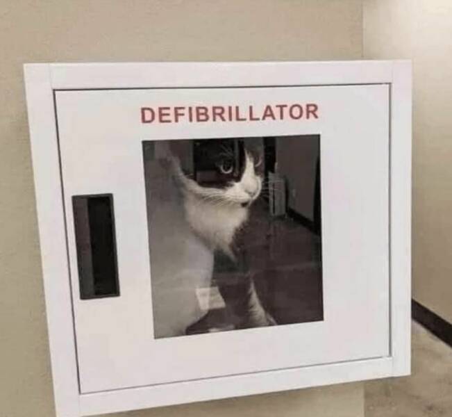 Daily Pictures. Part 1 (71 pics)