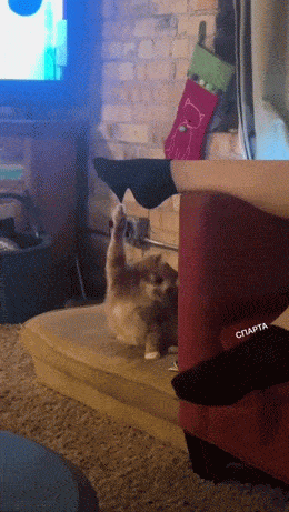Acid GIFs, December 13 (25 gifs)