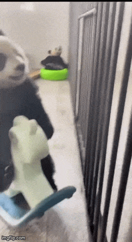 Acid GIFs, December 13 (25 gifs)