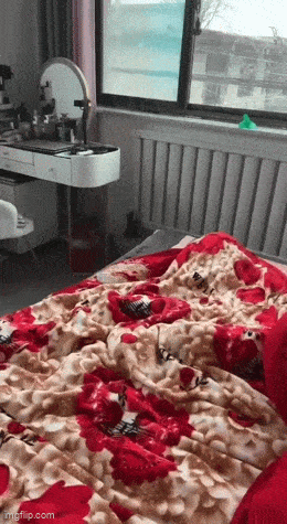 Acid GIFs, December 13 (25 gifs)