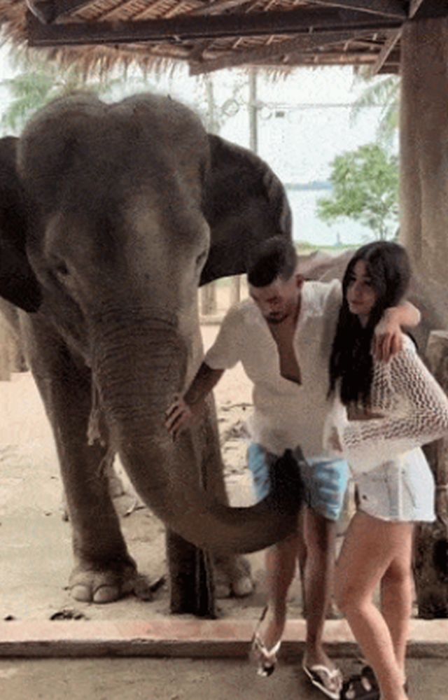 Acid GIFs, December 14 (25 gifs)