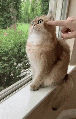 Acid GIFs, December 18 (25 gifs)