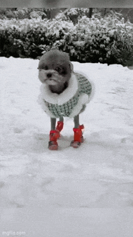 Acid GIFs, December 18 (25 gifs)