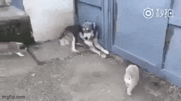 Acid GIFs, December 18 (25 gifs)