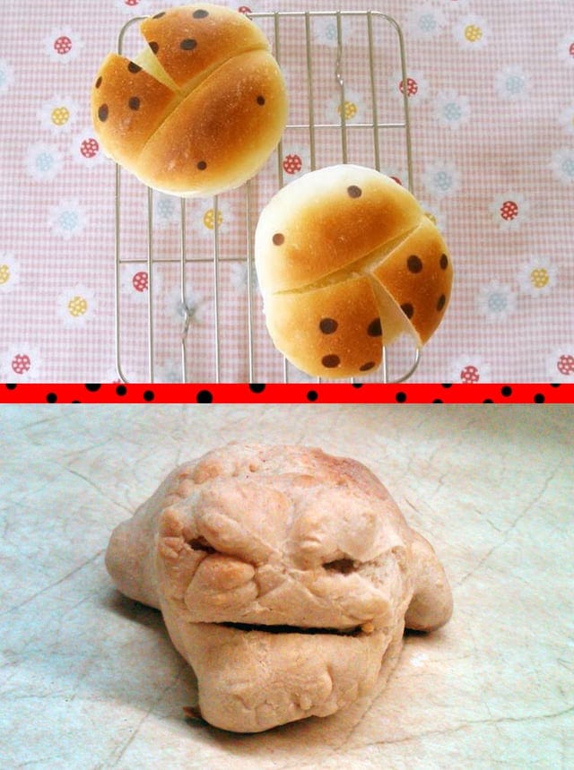 Expectations Against Reality (18 pics)