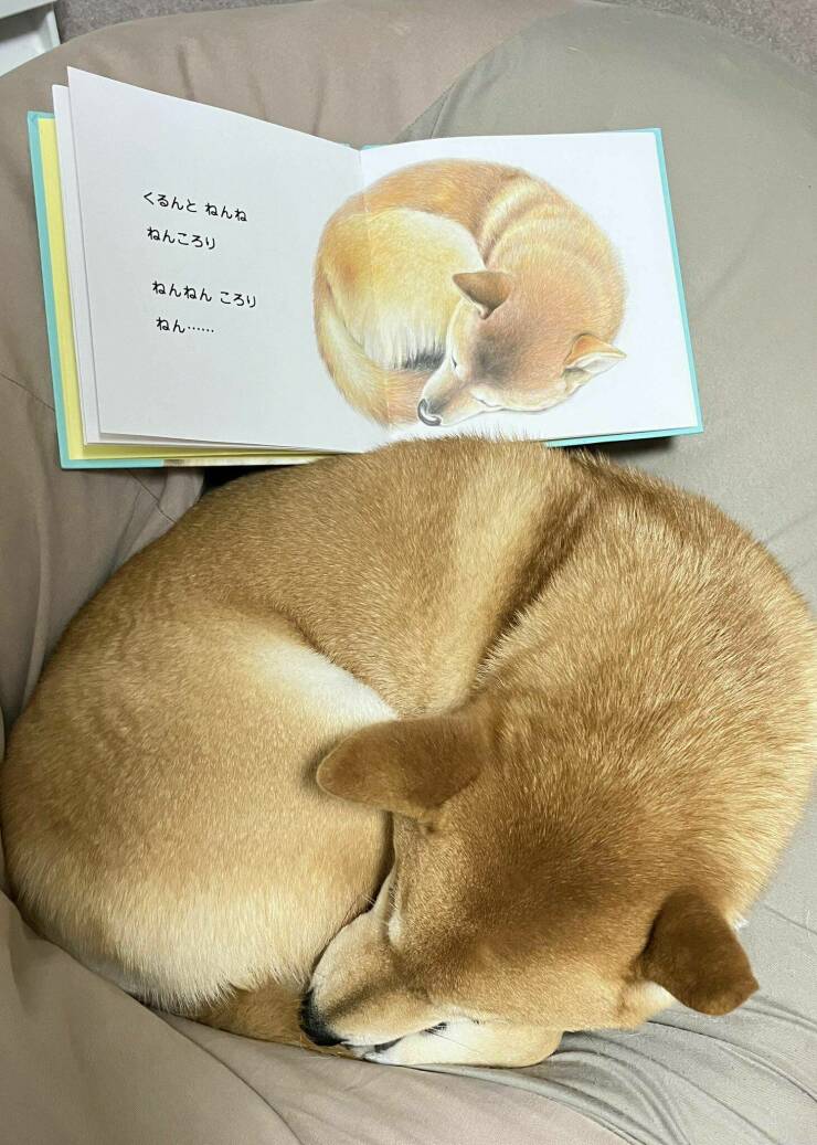 Daily Pictures. Part 1 (70 pics)