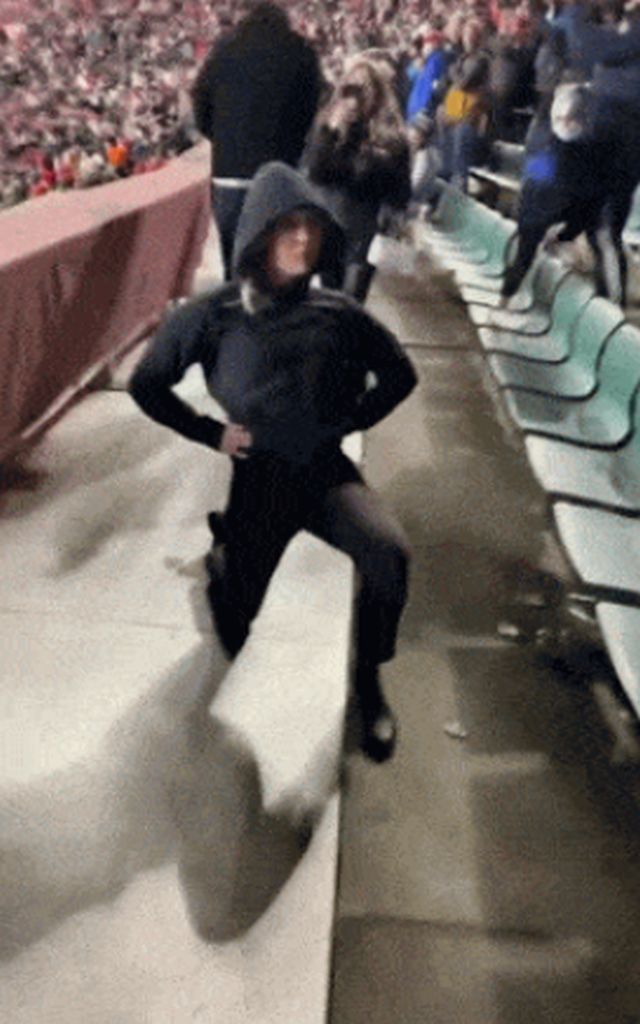 Acid GIFs, December 20 (25 gifs)