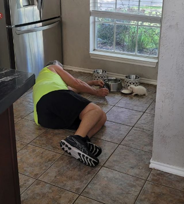 They Didn't Want Pets (29 pics)