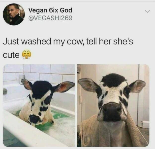 Daily Pictures. Part 1 (72 pics)