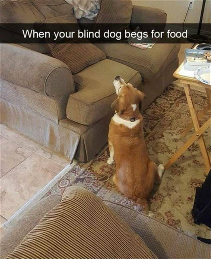 Daily Pictures. Part 2 (65 pics)