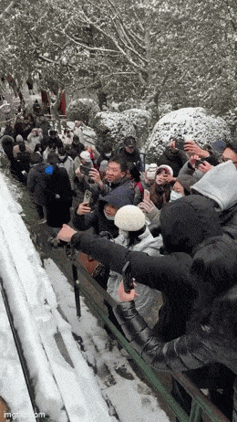 Acid GIFs, December 25 (25 gifs)