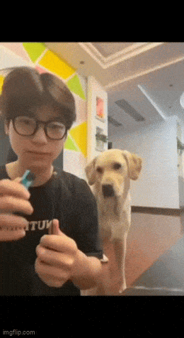 Acid GIFs, December 25 (25 gifs)