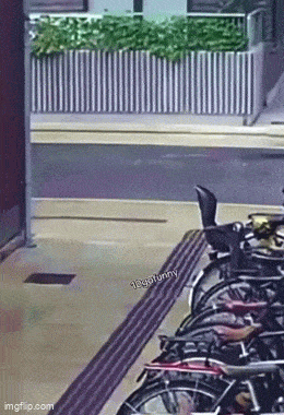 Acid GIFs, December 25 (25 gifs)