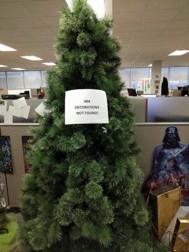 Positive Christmas Photos (24 pics)