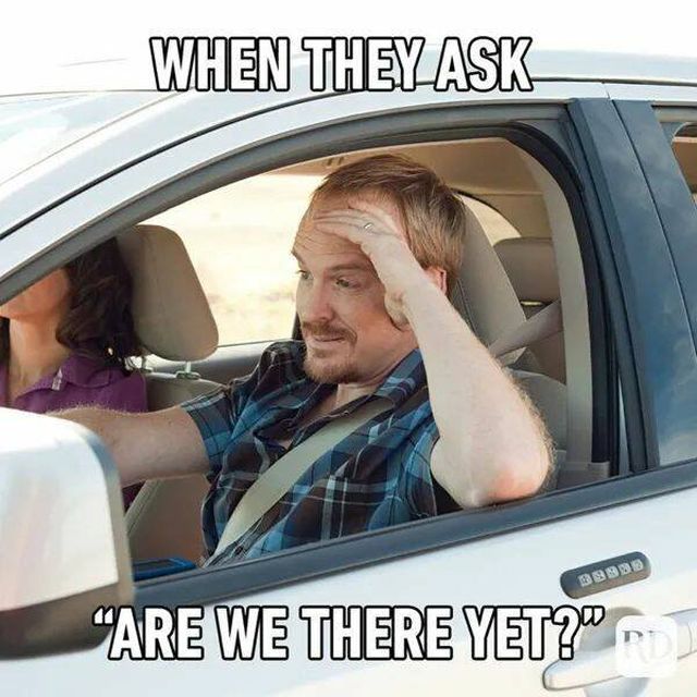 Memes About Traveling With Kids (22 pics)