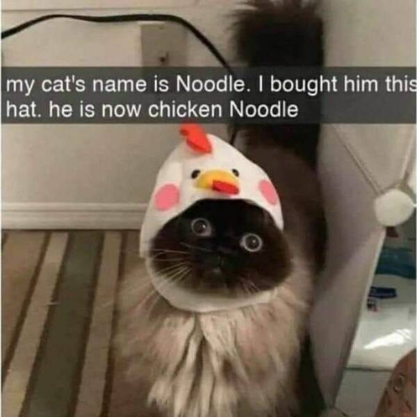 Daily Pictures. Part 1 (65 pics)