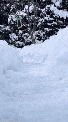 Acid GIFs, December 26 (25 gifs)