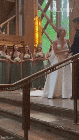 Acid GIFs, December 26 (25 gifs)