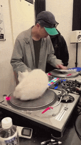 Acid GIFs, December 26 (25 gifs)