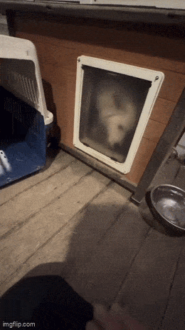 Acid GIFs, December 26 (25 gifs)