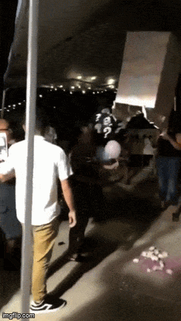 Acid GIFs, December 27 (25 gifs)